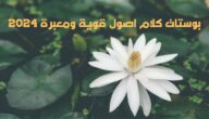 بوستات كلام اصول قوية ومعبرة 2024